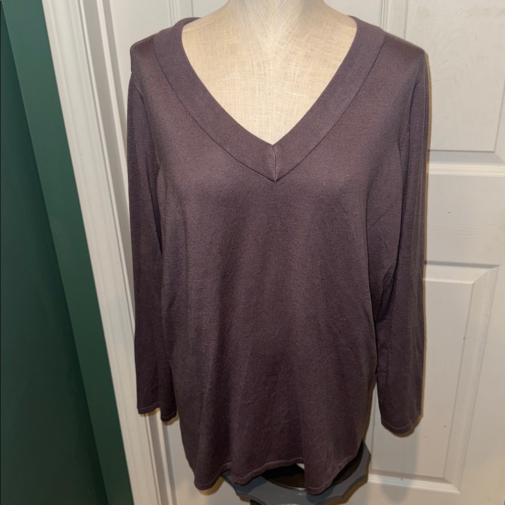 AnyBody Eco Viscose Long Sleeve Tunic Sweater - Plum 1X.‎ NWT